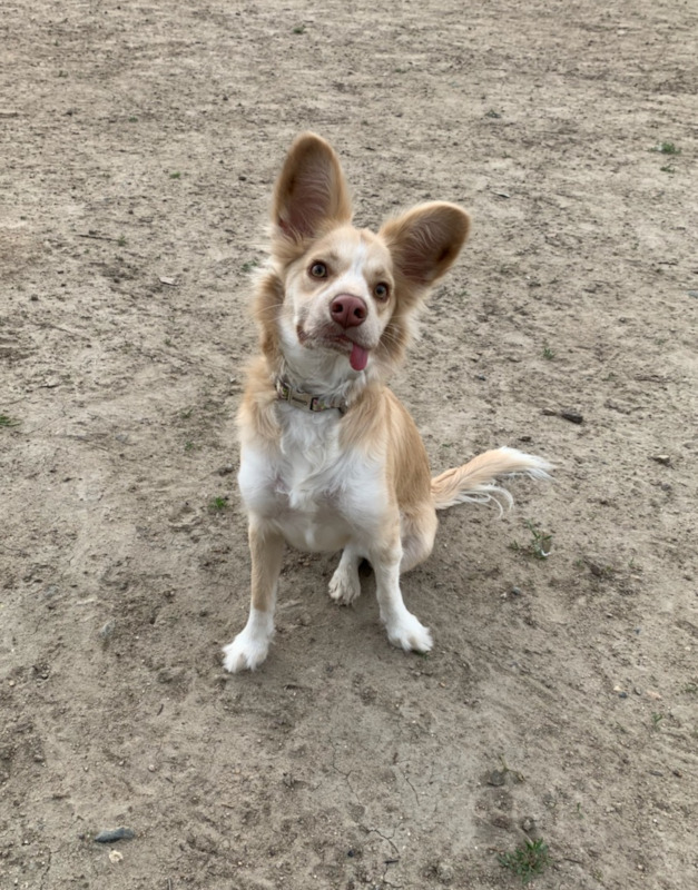 Mix