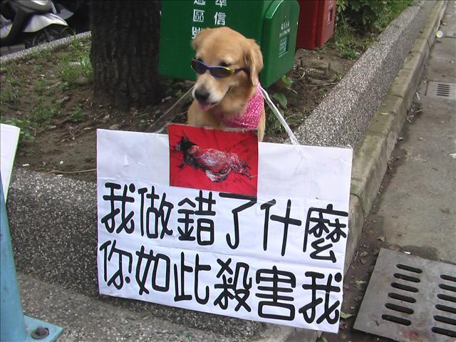 https://images.dog.ceo/breeds/retriever-golden/n02099601_124.jpg